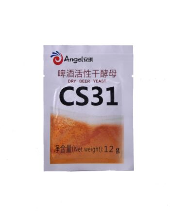 CS31-12g